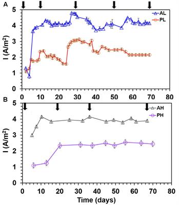 Temporal Microbial Community Dynamics in Microbial Electrolysis Cells – Influence of Acetate and Propionate Concentration